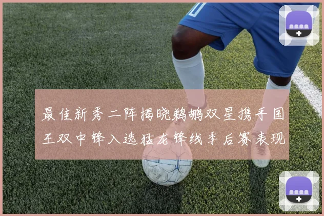 最佳新秀二阵揭晓鹈鹕双星携手国王双中锋入选猛龙锋线季后赛表现抢眼